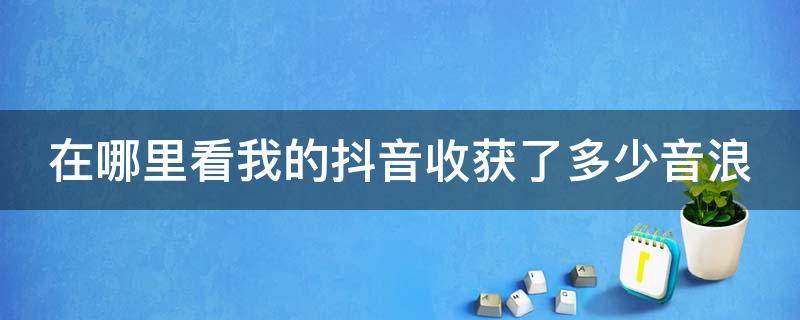 在哪里看我的抖音收获了多少音浪 如何查看抖音收入音浪