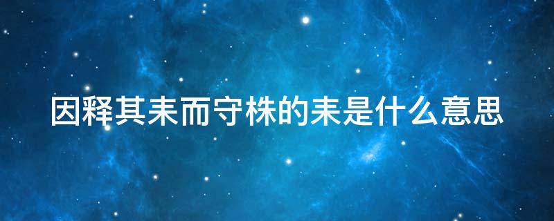 因释其耒而守株的耒是什么意思（因释其耒而守株的耒是什么意思今义）