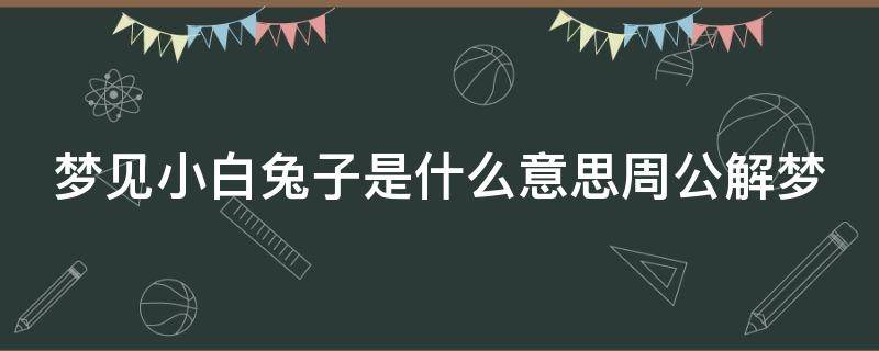 梦见小白兔子是什么意思周公解梦（男人梦见兔子好不好）