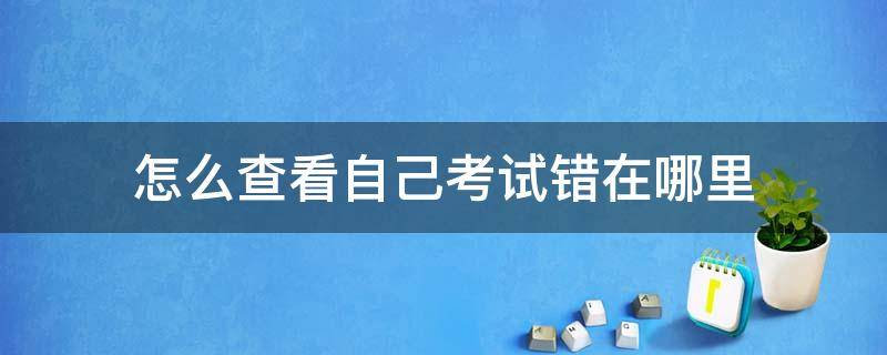 怎么查看自己考试错在哪里 考试过了哪里可以查看