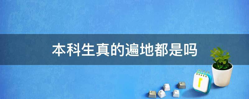 本科生真的遍地都是吗 本科遍地走真的吗