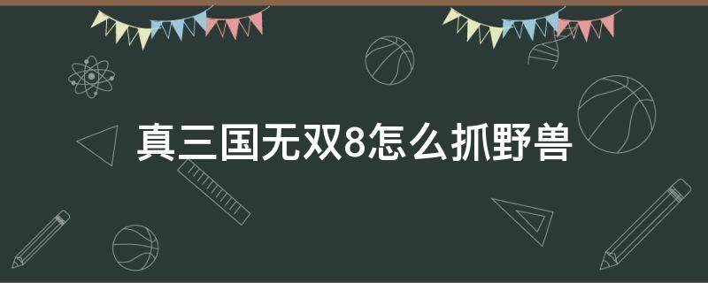 真三国无双8怎么抓野兽（真三国无双8捕兽）