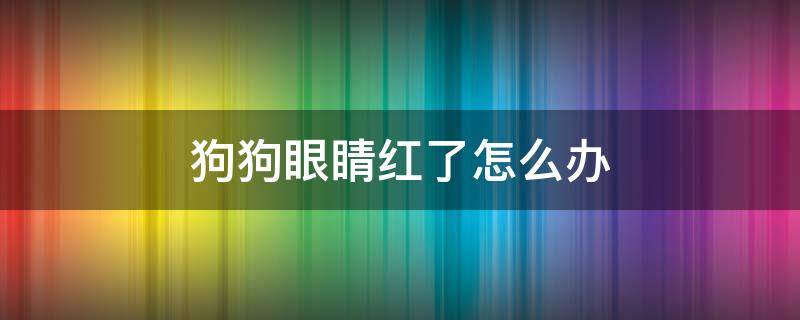 狗狗眼睛红了怎么办 狗狗眼睛红怎么回事儿