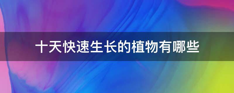 十天快速生长的植物有哪些 什么植物10天可以长出来