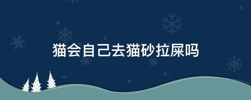 猫会自己去猫砂拉屎吗 猫会自己去猫砂里面解决了大小便吗