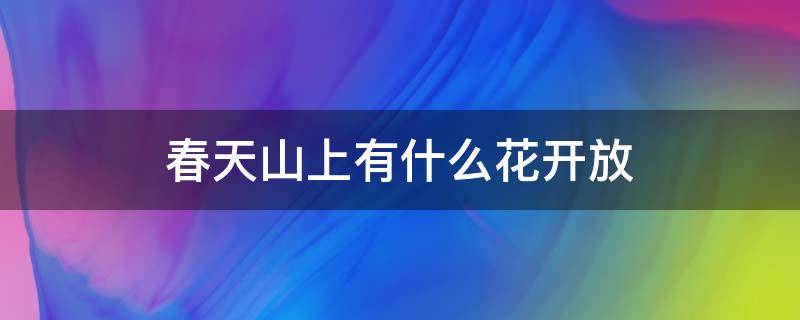 春天山上有什么花開(kāi)放 春天,山上的野花開(kāi)了,有什么花