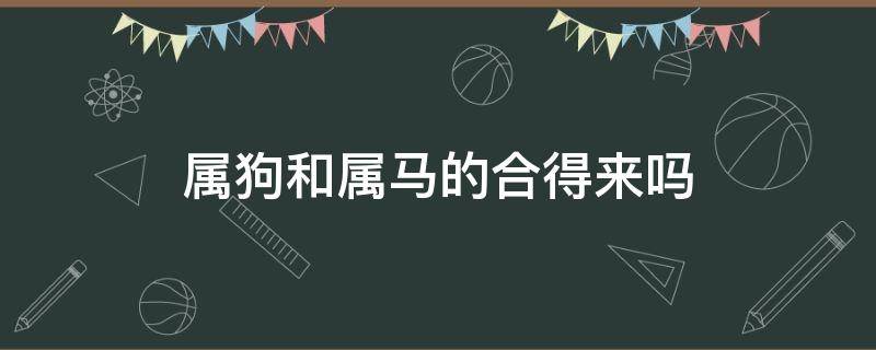 属狗和属马的合得来吗 属马的和属狗的相合吗