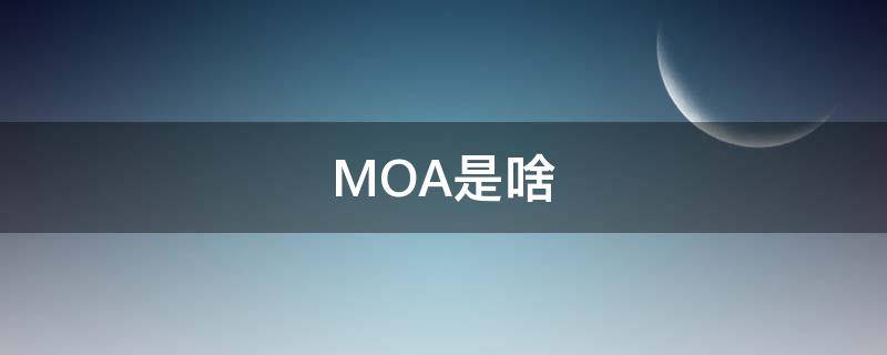 MOA是啥 moa是啥软件