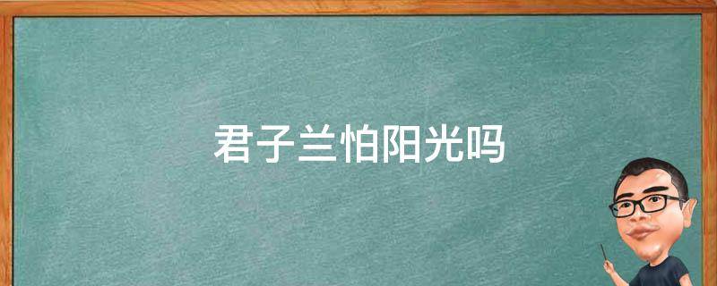 君子蘭怕陽光嗎 君子蘭怕太陽光曬嗎