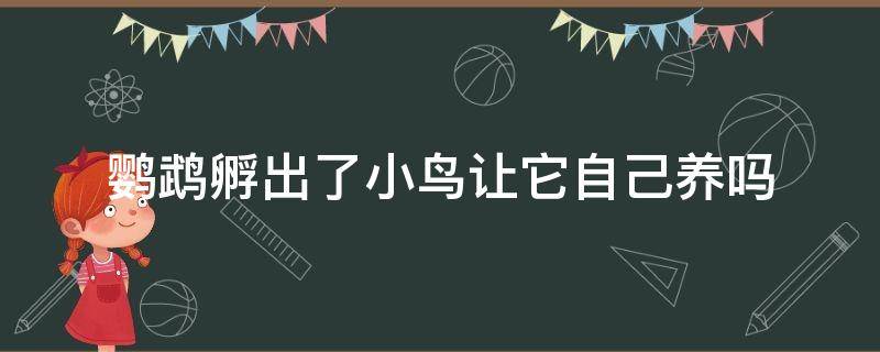 鸚鵡孵出了小鳥讓它自己養(yǎng)嗎（玄鳳鸚鵡孵出了小鳥讓它自己養(yǎng)嗎）