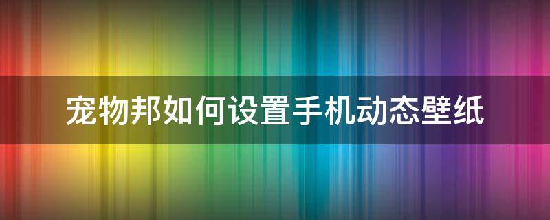 宠物邦如何设置手机动态壁纸 手机锁屏壁纸宠物