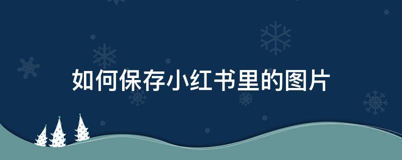 如何保存小红书里的图片 如何保存小红书上图片