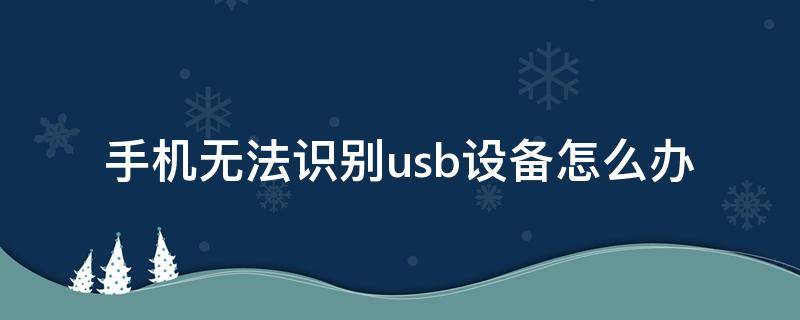 手机无法识别usb设备怎么办（苹果手机无法识别usb设备怎么办）