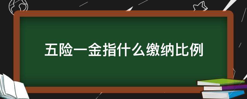 五險(xiǎn)一金指什么繳納比例 五險(xiǎn)一金指什么繳費(fèi)比例