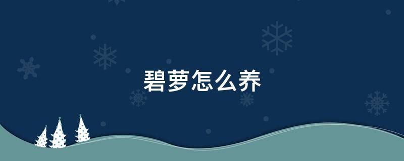 碧蘿怎么養(yǎng) 碧蘿怎么養(yǎng)護