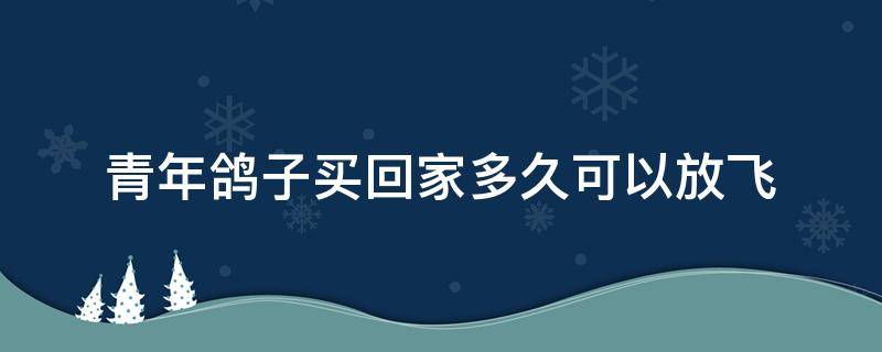 青年鸽子买回家多久可以放飞 青年鸽子买回家多久可以开家