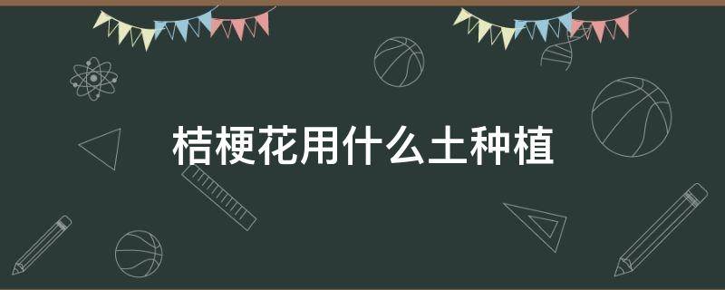 桔梗花用什么土种植（桔梗花种怎么种）