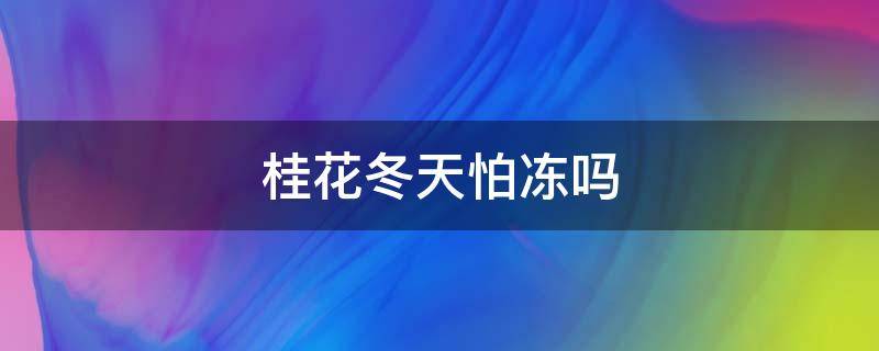 桂花冬天怕冻吗 桂花怕冷吗?怕冻吗?