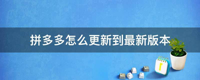 拼多多怎么更新到最新版本 拼多多怎么更新升级最新版