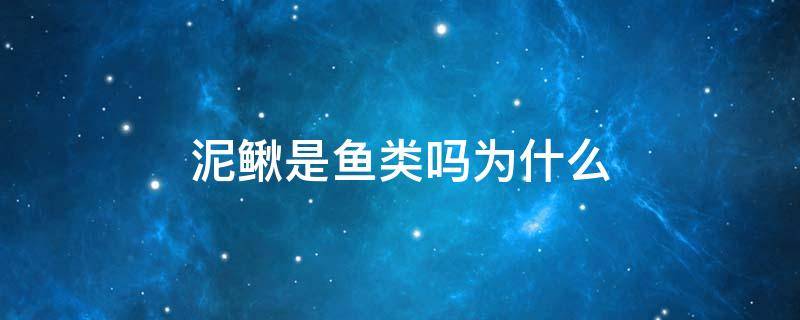 泥鳅是鱼类吗为什么 泥鳅是不是属于鱼类