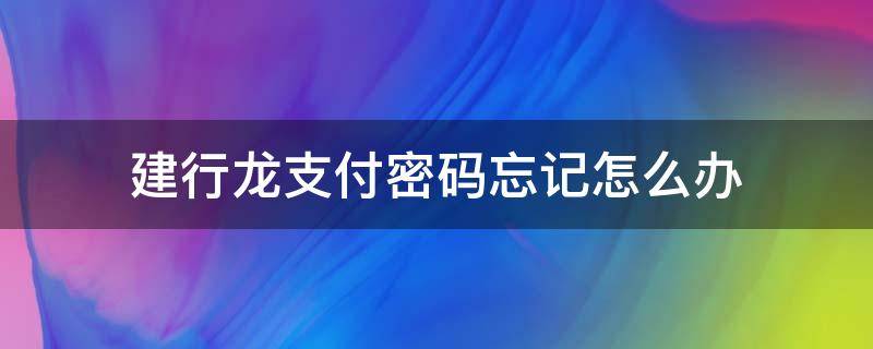 建行龙支付密码忘记怎么办 建行龙支付密码忘了怎么办