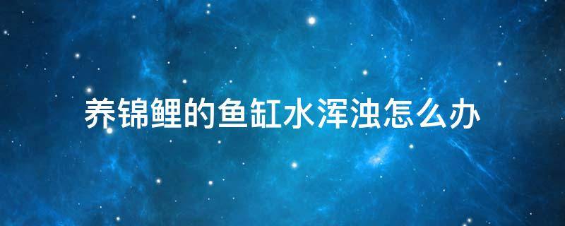 养锦鲤的鱼缸水浑浊怎么办 锦鲤鱼缸水浑浊原因和解决方案