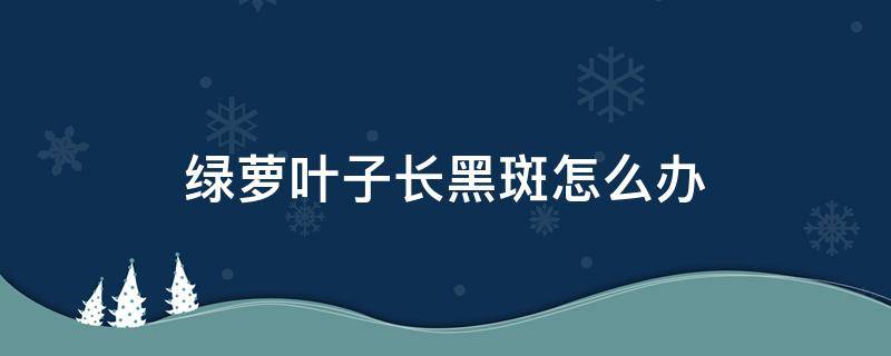 绿萝叶子长黑斑怎么办 绿萝叶子长黑斑怎么回事?