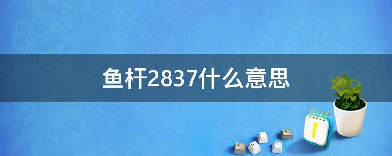 鱼杆2837什么意思 鱼杆28和19什么意思