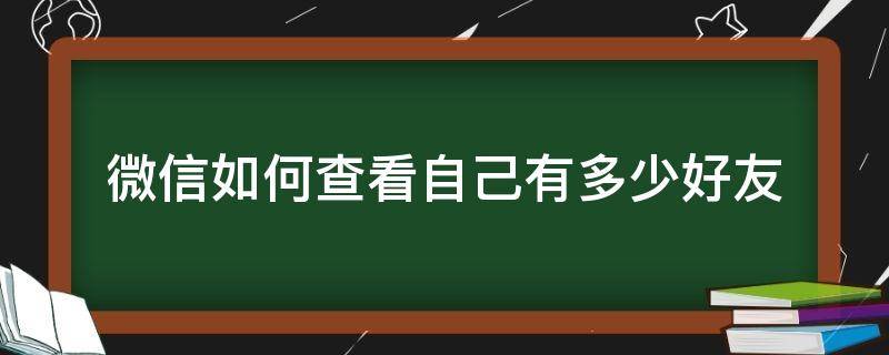 微信如何查看自己有多少好友 怎样查看自己有多少微信好友