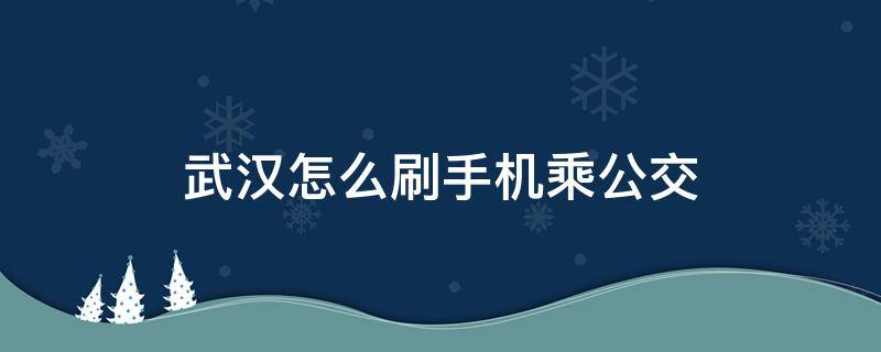 武汉怎么刷手机乘公交（武汉手机刷公交卡怎么弄）