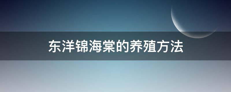 東洋錦海棠的養(yǎng)殖方法 洋海棠怎么養(yǎng)