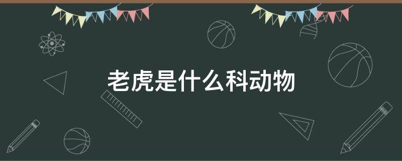 老虎是什么科动物 老虎是犬科动物还是猫科动物