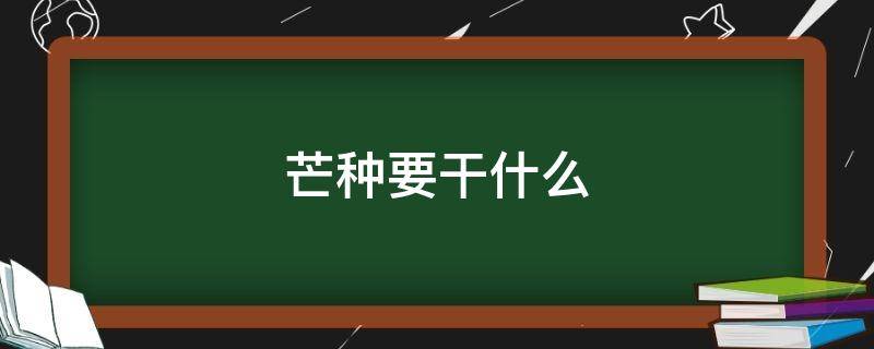 芒种要干什么（芒种要干什么一百字）