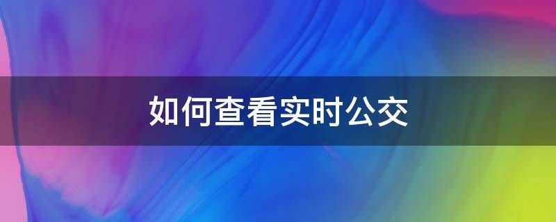 如何查看实时公交（如何查看实时公交在哪里）