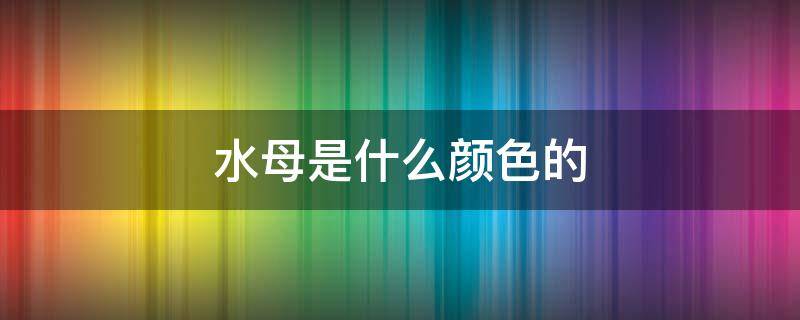 水母是什么颜色的 水母是什么颜色的图片