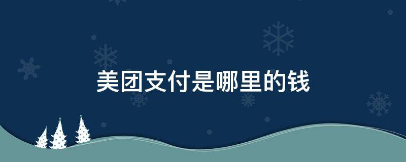 美团支付是哪里的钱 美团支付是哪里的钱怎么看