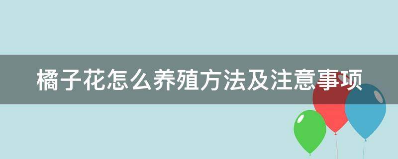 橘子花怎么养殖方法及注意事项（橘子花怎么养殖方法及注意事项用什么肥料）