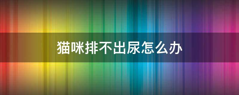 猫咪排不出尿怎么办 猫咪排尿排不出来怎么办