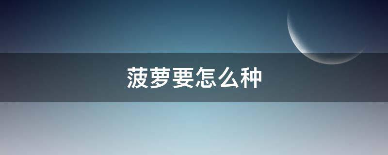 菠萝要怎么种（菠萝要怎么种才甜）