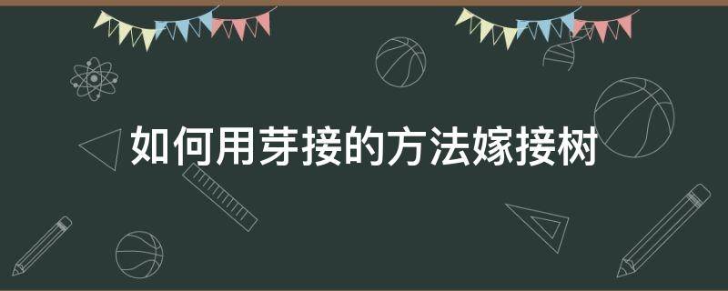 如何用芽接的方法嫁接树 嫁接树根的方法