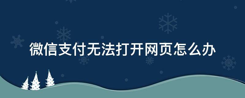 微信支付无法打开网页怎么办（微信支付页面打不开是怎么回事）