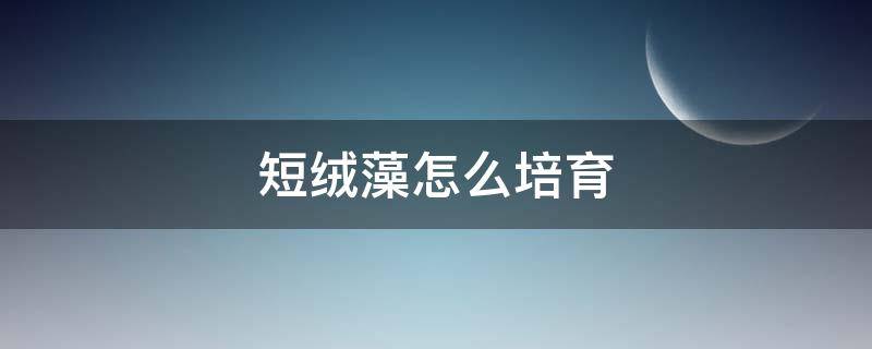 短绒藻怎么培育 短绒藻怎么培养