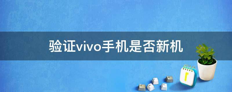 验证vivo手机是否新机 验证vivo手机是否翻新机