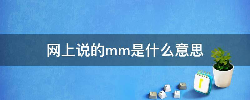 网上说的mm是什么意思（mm是什么意思）