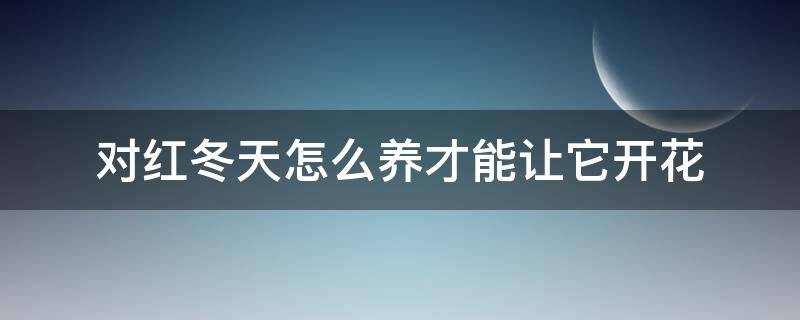 对红冬天怎么养才能让它开花 对红冬天怎样养,开花多