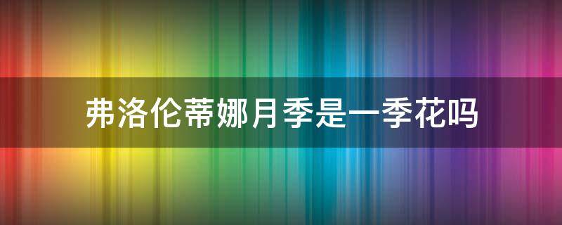 弗洛倫蒂娜月季是一季花嗎 弗洛倫蒂娜月季幾月開花