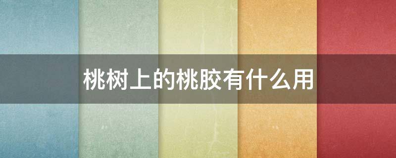 桃树上的桃胶有什么用 桃树上的桃胶有什么用途应该怎样吃