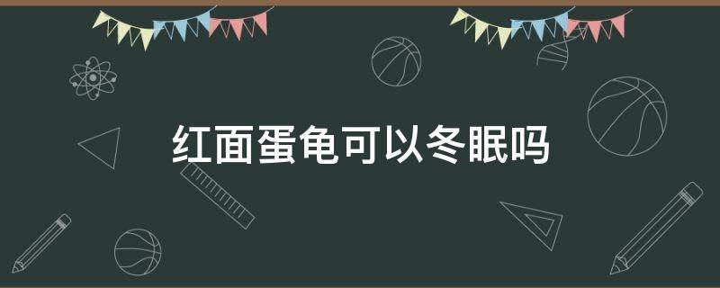 红面蛋龟可以冬眠吗 红面蛋龟冬天