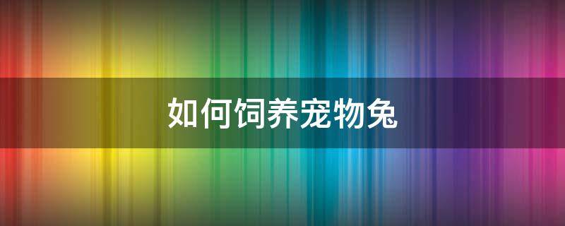 如何饲养宠物兔 兔子怎么养宠物兔