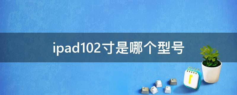 ipad10.2寸是哪个型号（ipad10.2英寸是）